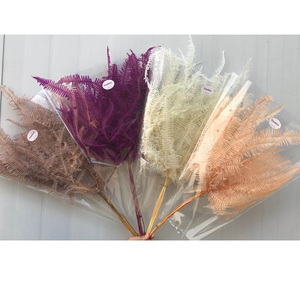 Vente en gros de fleurs séchées naturelles, vraies plantes, <span class=keywords><strong>fougère</strong></span> éternelle, feuilles de <span class=keywords><strong>fougère</strong></span> conservées pour la décoration intérieure - Product Image 4