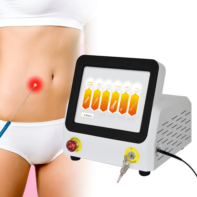 2026 Newest Medical Diode Laser 980nm Facial Laser Liposuction Plastic Surgery Endolaser Facial Lifting