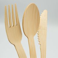 Ecologisch afbreekbaar wegwerp bamboe servies set 100 stuks voor feesten, thuis en restaurants, inclusief mes en vork