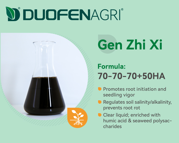 Wholesale Liquid NPK Humic Acid Fertilizer Manufacturer image 4