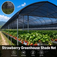 Filet d'ombrage pour fraises en HDPE noir résistant aux UV, robuste, pour l'agriculture, l'horticulture, le jardinage et la culture des fruits