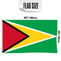 Drapeaux de la Guyane en gros 3x5 pieds, polyester 68D/100D, personnalisation pour toutes les nations, expédition rapide, fournisseur fiable, livraison rapide