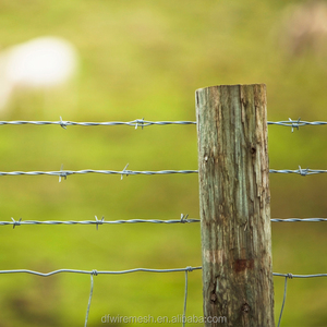 Giá lưới thép gai chống trộm tốt nhất - Product Image 4