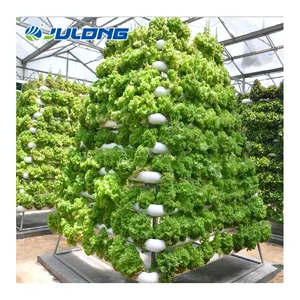 glass panel aeroponic vertical farming hydroponic lettuce grow system greenhouse with NFT and DWC system