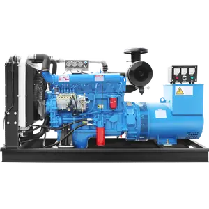 Ats Automatische Besturing Open Type Ricardo Elektriciteit Stille Kracht Dieselgenerator 3 Fase Stille Weifang Dieselgenerator
