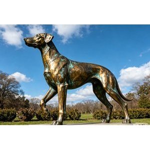 Estatua de Perro de Bronce Personalizada para Decoración de Jardín y Paisaje - Product Image 3