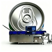 Chestny Znak GS1 DataMatrix Code UV-lasermarkeringsmachine voor koolzuurhoudende frisdrank aluminium blikjes, één artikel, één code, traceerbaarheid
