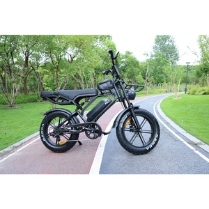 Zerogo 2025 Dropshipping V20 Pro Bicicleta Eléctrica de 250w con Cuadro de Acero, Bicicleta de Montaña con Llantas Gruesas de 20 Pulgadas, V20 Pro - Product Image 5