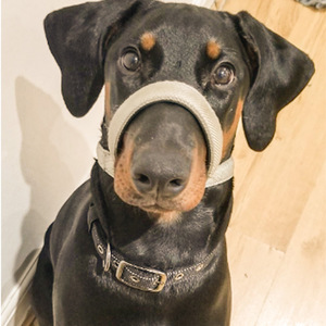 Collar de Cabeza para Perro con Diseñ<span class=keywords><strong>o</strong></span> de Figura 8, Reflectante, Acolchado Suave, Transpirable, Ajustable, Antitirones, para Entrenamiento y Control de Tirones - Product Image 6