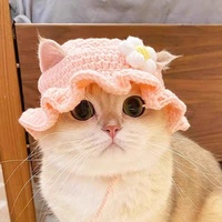 Gorros de Lana Tejidos para Mascotas, Perros y Gatos, con Diseño de Dibujos Animados, Accesorios y Disfraces Hechos a Mano para Todas las Estaciones
