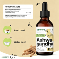 Soins de santé pour animaux de compagnie : Gouttes de soutien pulmonaire pour chats et chiens - Soutien immunitaire avec feuille de molène, échinacée, ashwagandha et vitamines liquides