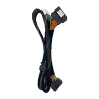 Harnais de câblage pour amplificateur de voiture DSP Plug-and-play TK-DSP-BM01, compatible avec BMW