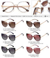 Lunettes de soleil polarisées TR90 tendance à clip magnétique pour femme, motif léopard rose, 2-en-1, 2026