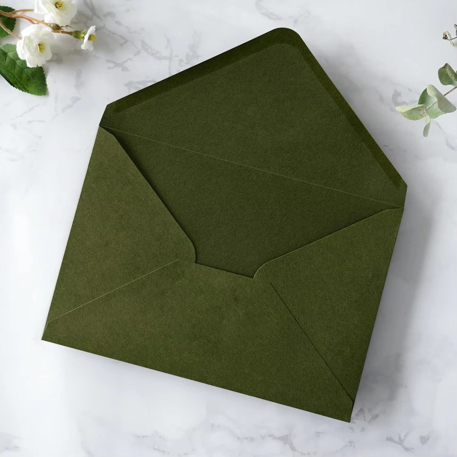 Avocat vert olive
