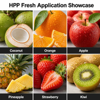 Équipement de Pasteurisation Progressive Haute Pression 135L HPP Stérilisateurs Alimentaires par Traitement Haute Pression