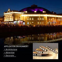 Bande LED à pixels blancs DC24V 120 LED/M SMD2835 20 Pixels/M Bande LED adressable programmable pour l'éclairage architectural