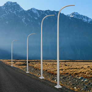 Poste de Luz para Paisajismo LECUSO, Duradero, de 8M, 10M, 20M, <span class=keywords><strong>20</strong></span> pies, 25 pies, Iluminación de Calle, Superficie Galvanizada por Inmersión en Caliente, Vida Útil de Más de <span class=keywords><strong>20</strong></span> Años - Product Image 1