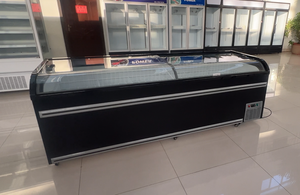 Congelador comercial de exhibición rápida con doble puerta de vidrio para pescado congelado y helados, refrigerador y enfriador para el hogar - Product Image 3