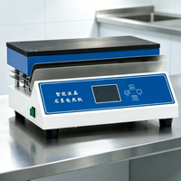Plaque chauffante électrique en graphite RT-420C avec affichage numérique LCD, traitement thermique, plateforme anticorrosion, température maximale pour