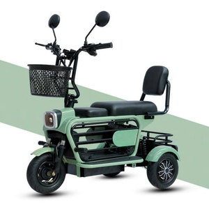 Triciclo con Motor sin Escobillas de 48V 800W, Motor de Cubo Trasero de 3 Velocidades, 3 Asientos, Marco de Acero, Batería de Plomo-Ácido, 60-70 Nm de Torque, 3 Ruedas - Product Image 1
