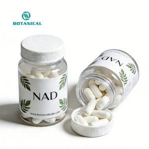 Suplemen Kapsul NAD Resveratrol Bubuk Resveratrol 500mg 1000mg 60/120 Kapsul 98% 50% Nikotinamida Adenin Dinukleotida - Product Image 1