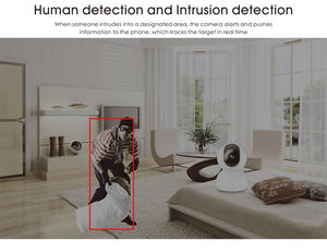 2023 лучшая домашняя Wi-Fi камера безопасности высокого качества 2MP Видео Аудио 10x ночного видения CMOS изображения карты памяти и облачная поддержка - Product Image 5