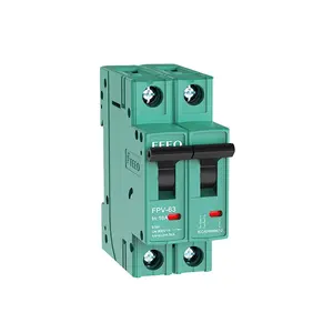 FEEO 2P DC 1000V Solar Mini Circuit Breaker Battery Switch 6A 10A 16A 20A 25A 32A 40A 50A 63A DC MCB for Photovoltaic PV System