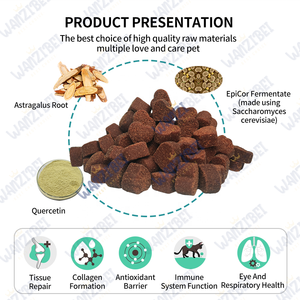 OEM/ODM suplemen makanan kucing lisin lunak kunyah untuk kucing mendukung sistem imun dan kekuatan ganda lisin menyediakan sampel gratis - Product Image 2