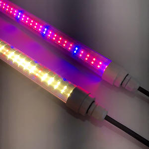 Lumière LED de culture d'algues pour Nannochloropsis Oculata Vulgaris Chlorella Vulgaris - Product Image 5