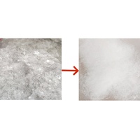 Machine de recyclage de bouteilles PET en fibres de polyester, machine de fabrication de fibres de polyester en vrac