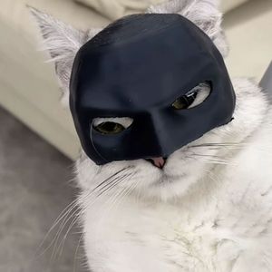 Máscara de murciélago de gato de Halloween Máscara de gato para máscara de murciélago de Halloween para <span class=keywords><strong>gatos</strong></span> - Product Image 4