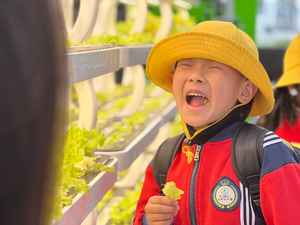 2023 planta casera automática tecnología inteligente computadora de jardinería inteligente Mini invernadero sistemas de cultivo de vegetales hidropónicos - Product Image 6