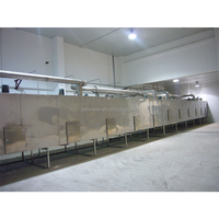 Senven Automatische Doorlopende Mesh Band Droger Machine Energiebesparing Voor Groenten Fruit Motor Gemaakt Ti Sus316l Voedselverwerking