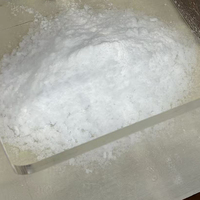 Machine à neige et à glace haute capacité de 770 lb pour l'hydro-refroidissement à grande échelle des légumes