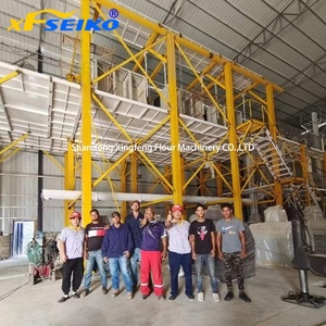 Machine à moudre la <span class=keywords><strong>farine</strong></span> <span class=keywords><strong>de</strong></span> maïs <span class=keywords><strong>de</strong></span> norme européenne - Product Image 2