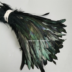 Plumas de Cola de Gallo Teñidas de Rojo para <span class=keywords><strong>Disfraz</strong></span> de Carnaval y Accesorios de Tocados de Plumas para <span class=keywords><strong>Mujer</strong></span> DIY - Product Image 5