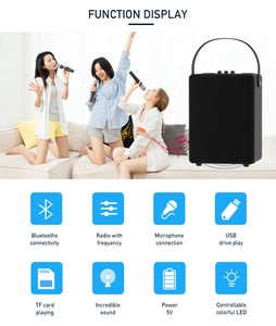 Mới Xách Tay Karaoke Và Cuộc Họp Loa Bluetooth Loa Với Không Dây Cầm Tay Microphone - Product Image 5