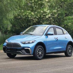 Voiture électrique ev e voiture électrique prix utilitaire - Product Image 2