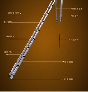 Échelles de grenier pliantes <span class=keywords><strong>avec</strong></span> main courante, échelles murales décoratives - Product Image 6