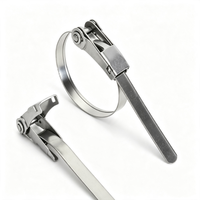 Collier de serrage métallique réutilisable en acier inoxydable à verrouillage rapide, résistant à la corrosion, pour le regroupement de câbles marins et extérieurs, et comme collier de serrage pour tuyaux