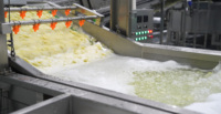 Hoogproductieve automatische aardappelhakmachine voor de productielijn van fruit- en aardappelchips en frieten