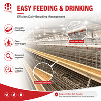 Système d'abreuvement automatique pour cages d'élevage de volailles de type P, destiné aux fermes commerciales de poulets pondeurs - Fournisseur d'équipements d'élevage de poulets