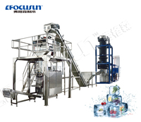 Promotion populaire chaude 2025 Ice Bagger Machine à emballer Tube Ice Flake Ice