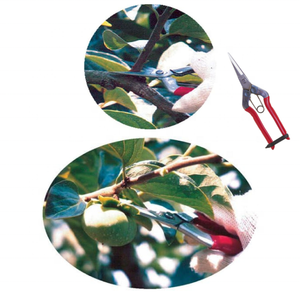 Herramientas de tijera de jardín de mano de diseño ligero Tijeras de podar - Product Image 5