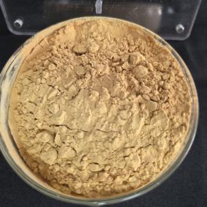 Extrato de Raiz de Ginseng Americano Marine Genesis Bio-Tech em Pó 80% de Saponinas Totais Extrato Herbal Testado por HPLC Extraído por Solvente - Product Image 1