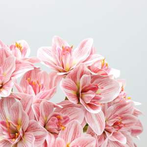 S1074 Vente en gros d'orchidées artificielles en latex de haute qualité, longues tiges, toucher réel, fleurs de clivia, orchidées pour la décoration de table à la maison - Product Image 4