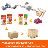 Automatische Multi Lane 4-zijdige verzegelingsmachine voor fruitjamzakjes, inclusief cartonneermachine