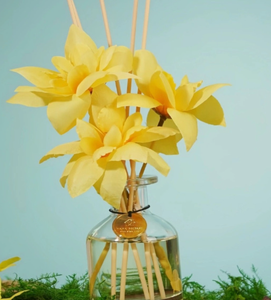 Diffuseur <span class=keywords><strong>de</strong></span> parfum d'intérieur à bâtonnets, longue durée, aux huiles essentielles, sans flamme, pour chambre à coucher, coffret cadeau <span class=keywords><strong>de</strong></span> niche - Product Image 4