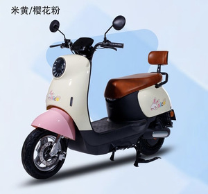 Batería de Plomo-Ácido <span class=keywords><strong>para</strong></span> Bicicleta Eléctrica de Largo Alcance y Alta Calidad a Precio Económico - Product Image 2
