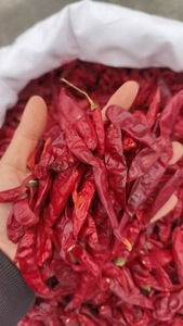 High Quality Dried Red <strong>Chilli</strong> Whole Pods 25kg Bulk From Sichuan China For Food Processing Seasoning - Product Image 6